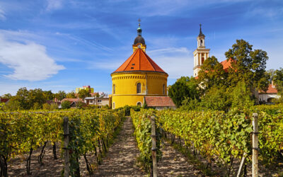 Delicious wines with a taste of tradition: Discover the wonders of one of Slovakia’s wine tours